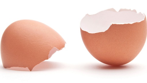 Αυγά Κοχύλια για να κρατήσει μακριά τις σαύρες