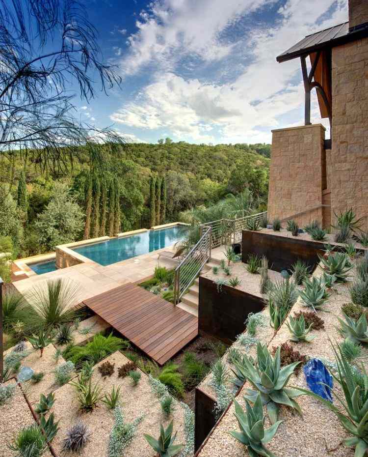 kaktusar saftiga idéer trädgårdsdesign-lättskött terrass
