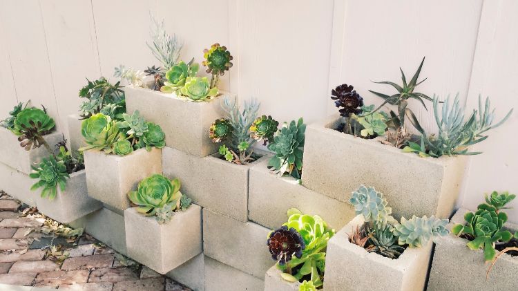 kaktus-succulenter-idéer-trädgårdsdesign-lättskötta betongstenar
