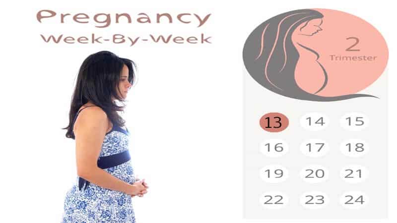 13 viikon raskausoireet