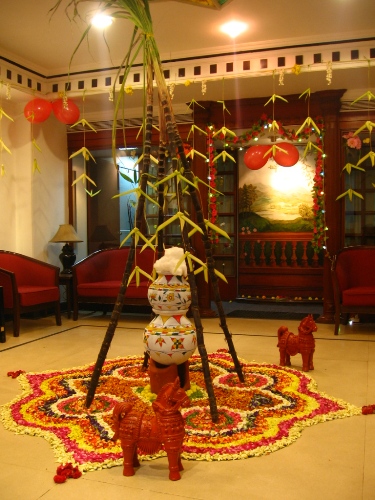 pongal -festivaali Tamil Nadussa