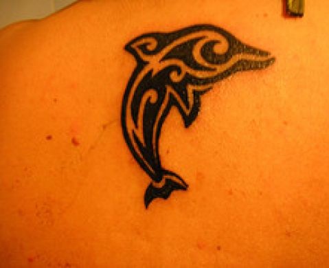 DolphinTribal Tattoo nuorille tytöille