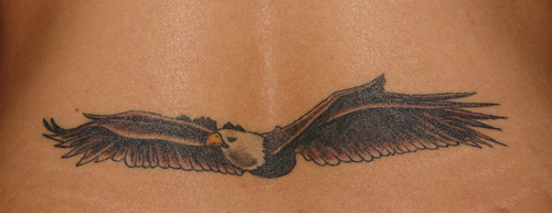 Πετώντας τατουάζ αετού στο κάτω μέρος της πλάτης