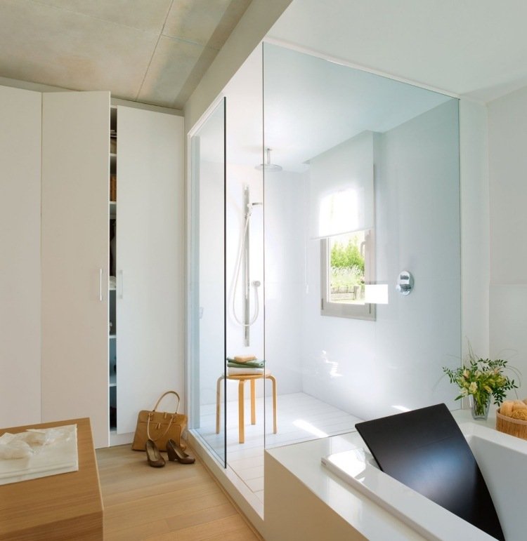 modern badrumsdesign golv-nivå dusch-glasväggar