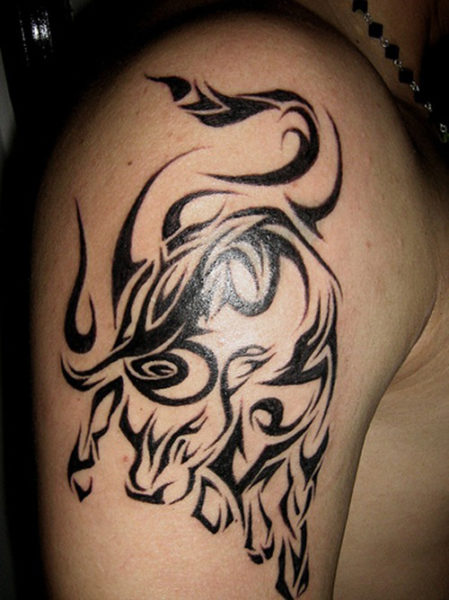 Σχέδια τατουάζ Celtic Bull για άντρες