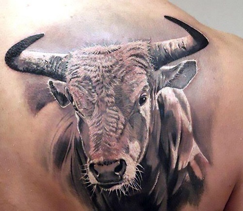 3D σχέδια τατουάζ ταύρου