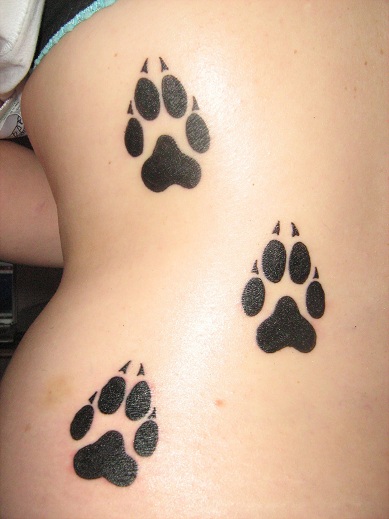 Kissan tassun suunnittelu tatuointi