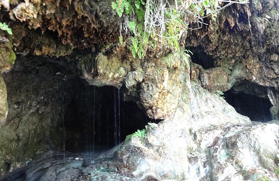 Robber’s Cave dehradun τουριστικά μέρη
