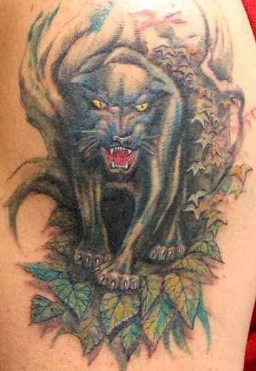 Cool Panther Tattoo mallit käsivarteen