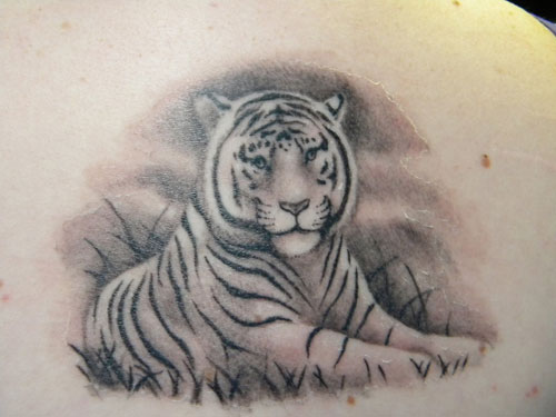 Valkoiset tiikeri -tatuointimallit