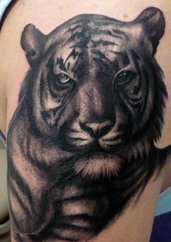 Black Tiger Tattoo -mallit