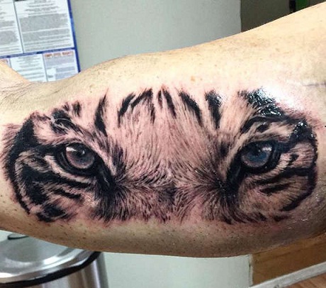 Realistiset Tiikerisilmät Tatuoinnit
