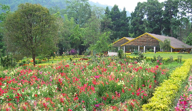 saramsa-garden_sikkim-τουριστικά-μέρη