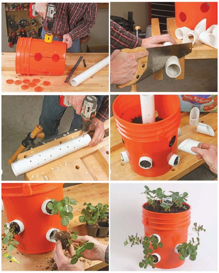 Plantera jordgubbar i 20 liters plasthinkar