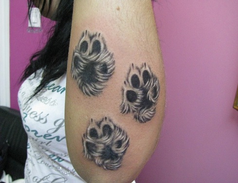 Husky Paw Print Tattoo -mallit