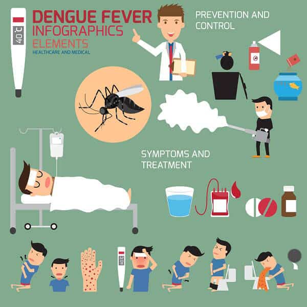 Dengue -kuume -infografiat