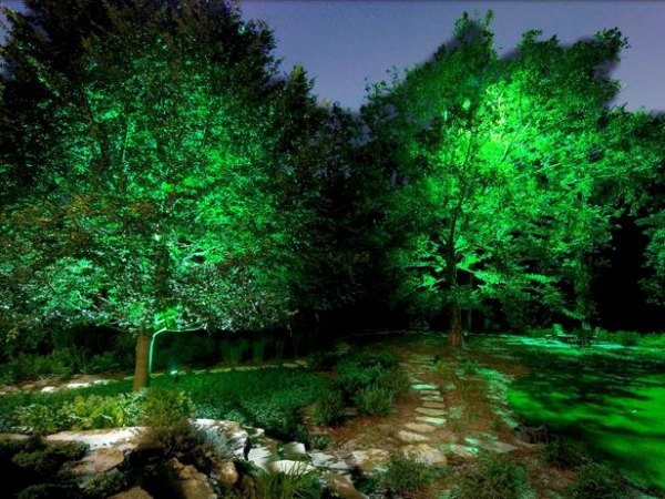 idéer för belysning i trädgården belyser träd