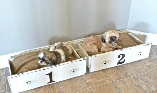 Hund säng lådor söta idéer upcycling