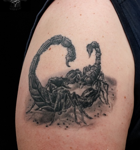 Taistelevat Scorpion -tatuoinnit hihoissa