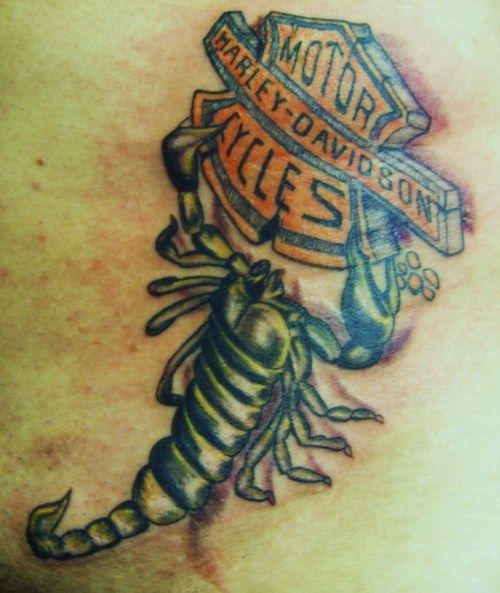 Harley Davidsonin skorpionin tatuointi