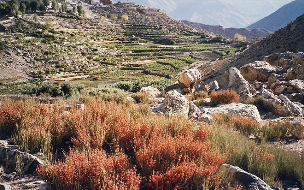 kinnaur_himachal-pradesh-τουριστικά μέρη