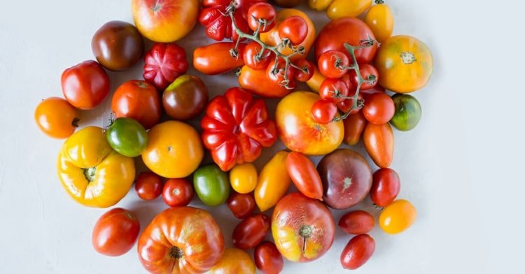 Äter tomater och minskar aptiten mot ohälsosamma mellanmål