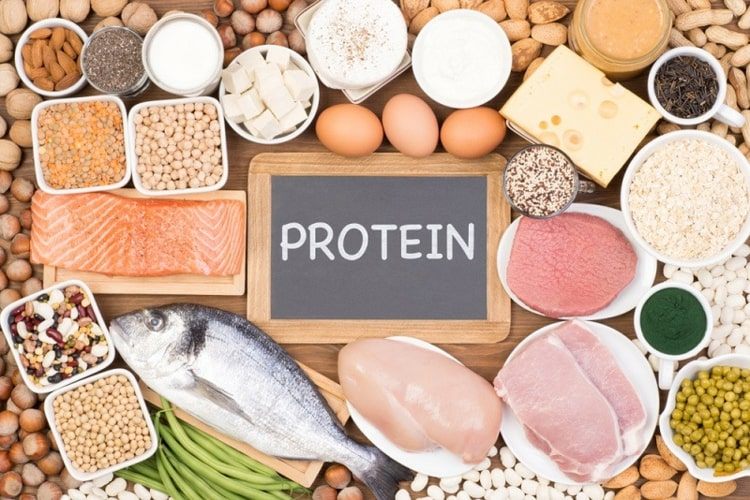Protein i kött, mejeriprodukter och växtbaserade livsmedel mot sug