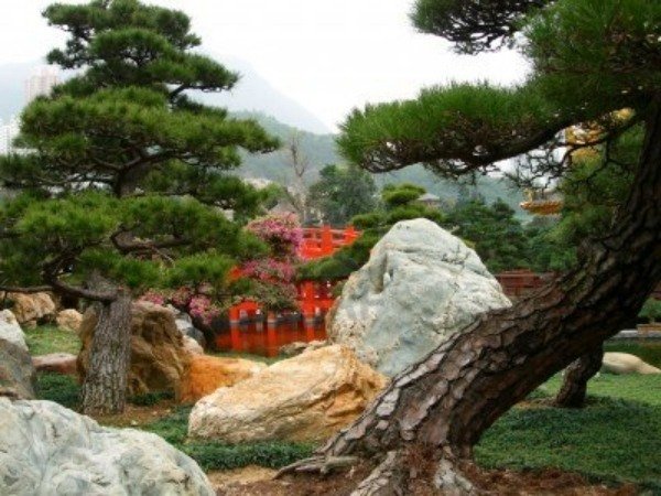 16 steg för japanska trädgårdsdesignträd