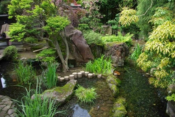 16 steg för japansk trädgård som skapar vattendamm