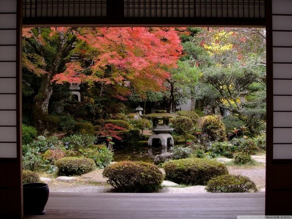16 steg för japansk trädgårdsdesign höst