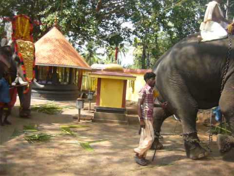 Edava Palakkavu Bhagavathin temppeli Edavassa