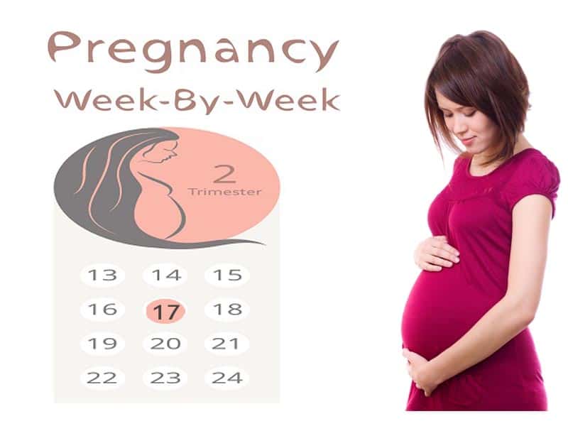 Έγκυος 17 εβδομάδων