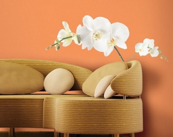 idéer för väggdesign i vardagsrummet orkidé vitt