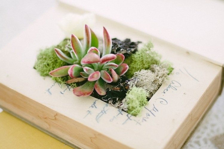 DIY-projekt-gammal-bok-succulent-planter dekoration med böcker