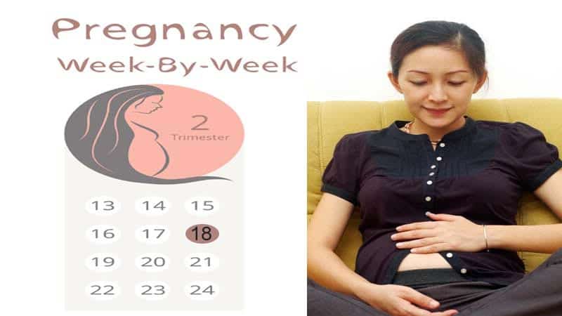 δεκαοκτώ εβδομάδες έγκυος