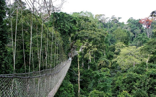 taman-negara_malaysia-τουριστικά-μέρη