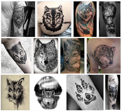 Σχέδια τατουάζ Wolf