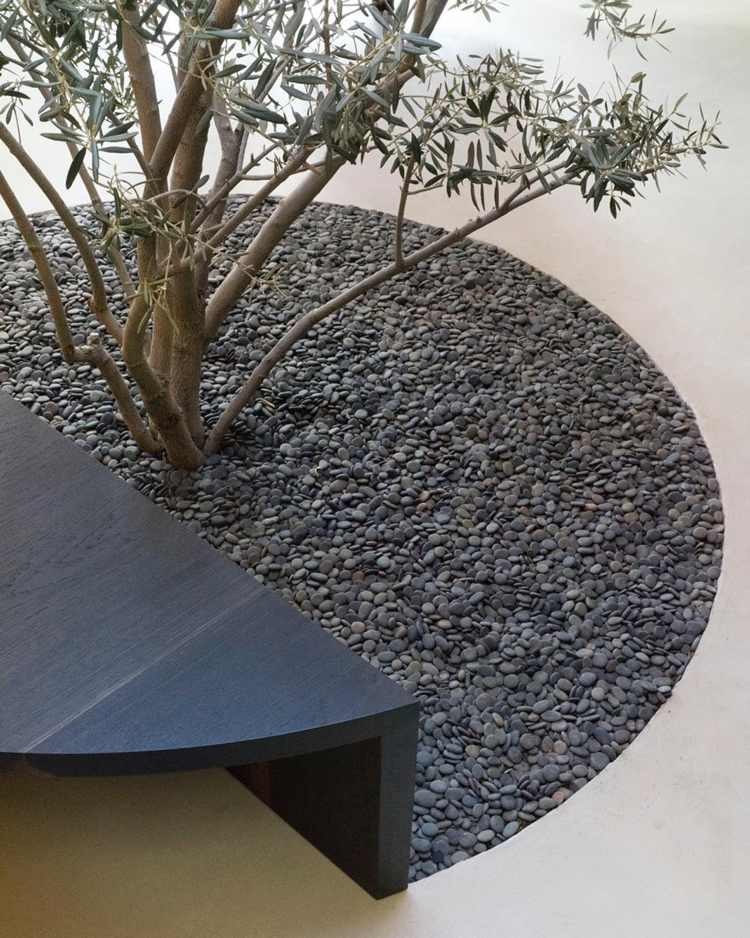 trädgård idéer grus olivträd betongbänk