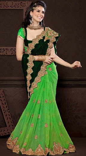 11. Πράσινο βελούδινο δίχτυ πεταλούδας sari
