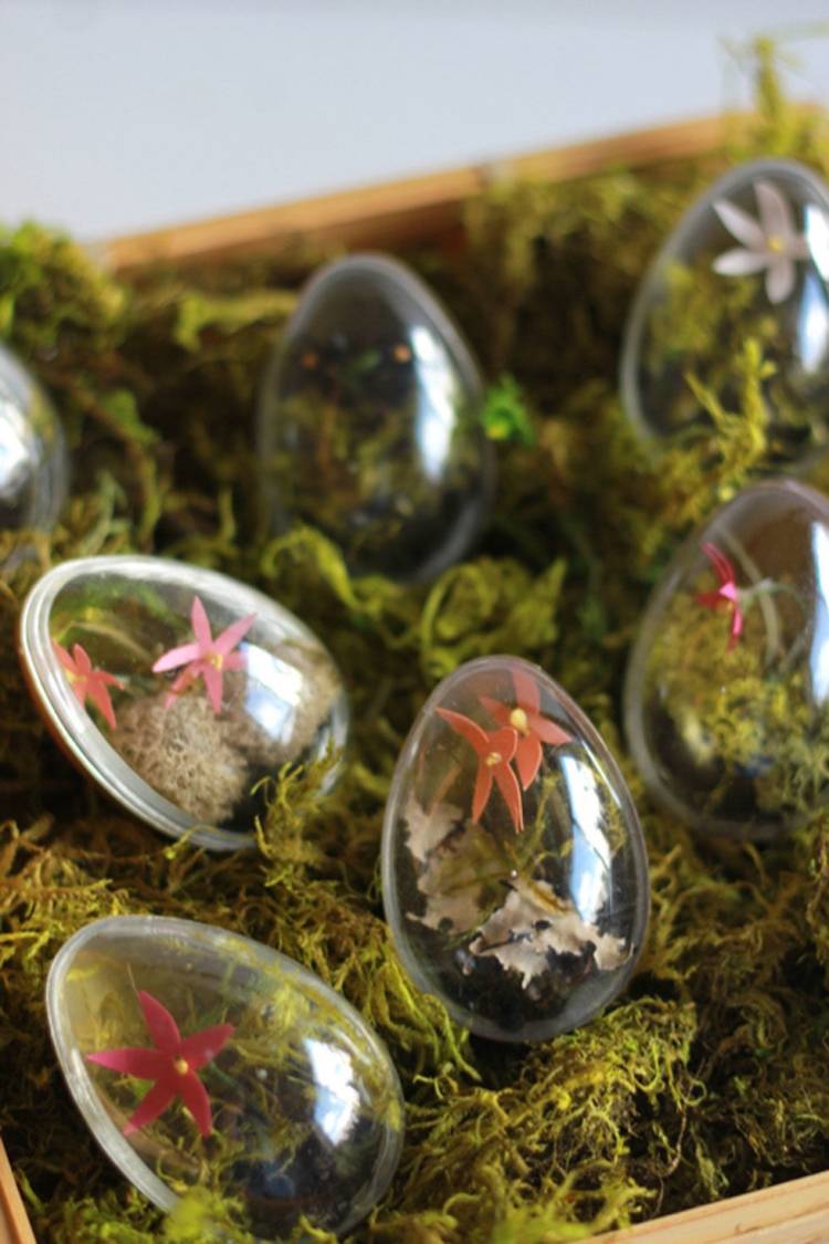 kreativ-påsk-dekoration-terrarium-ägg-transparent-mossa