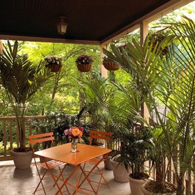 idéer för utomhus trädgårdsmöbler design palmer