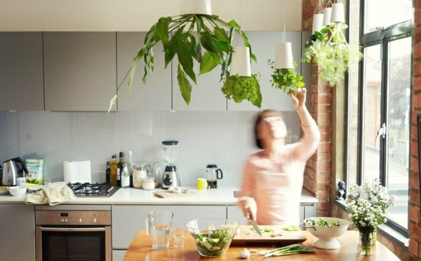 modernt kök krukväxter hängande deco grå köksskåp design