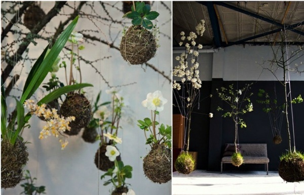 Blommor krukor träd häng cool dekoration hem idéer