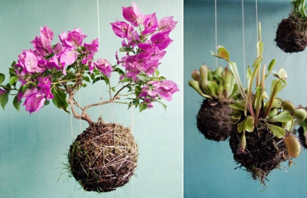 coola blomkrukor flätade husdekorationer inomhus växter orkidéer