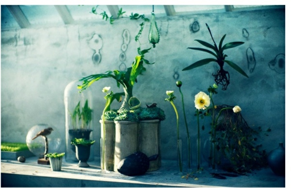 Gör terrarium hemma själv glasögon metallblå vägg