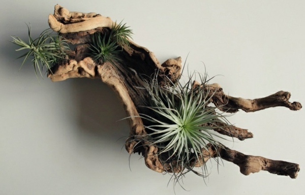 rustik planter själv gör trädstam kaktus terrarium hemma