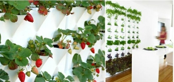 minimalistiska vita blomkrukor vägg grönt kök