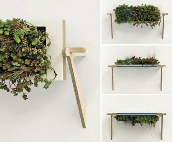 Plantor som hänger original design vertikal grönning