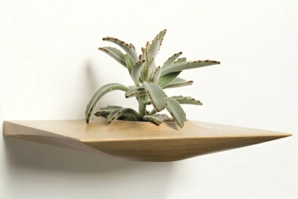 modern blomkruka design trä vägg bifogade kaktusar