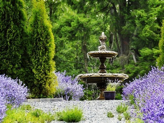 Klassiska idéer för trädgårdsarbete med vatten